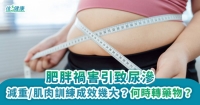 肥胖禍害引致尿滲
