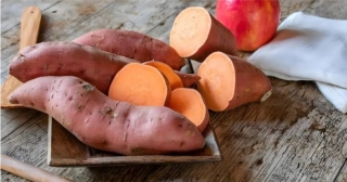 央視揭露毒番薯流入全國農民不敢食用全銷往外地下脈搏