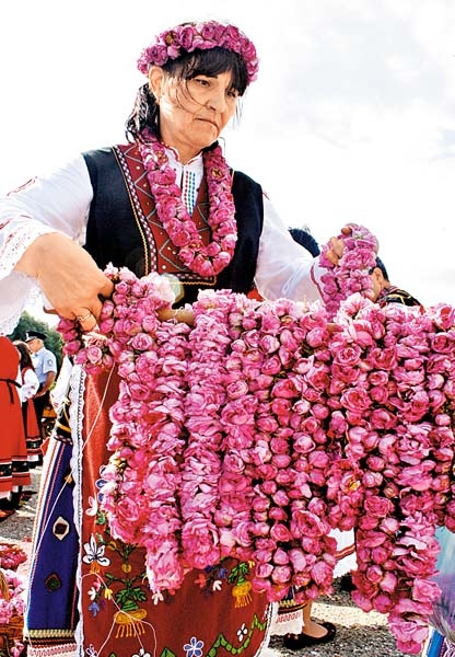 Image description