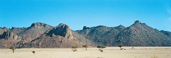 Image description