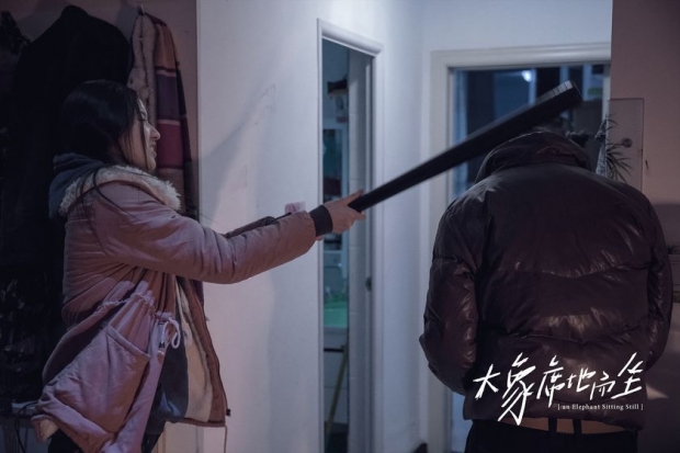 《大象席地而坐》